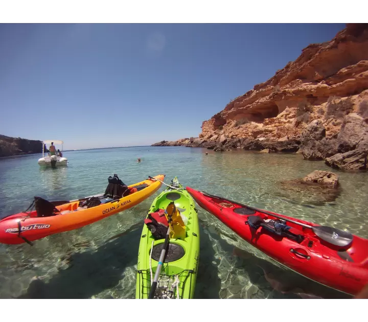 Kayak Excursions