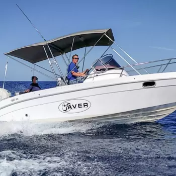 ZAPPA SAVER 660 WA